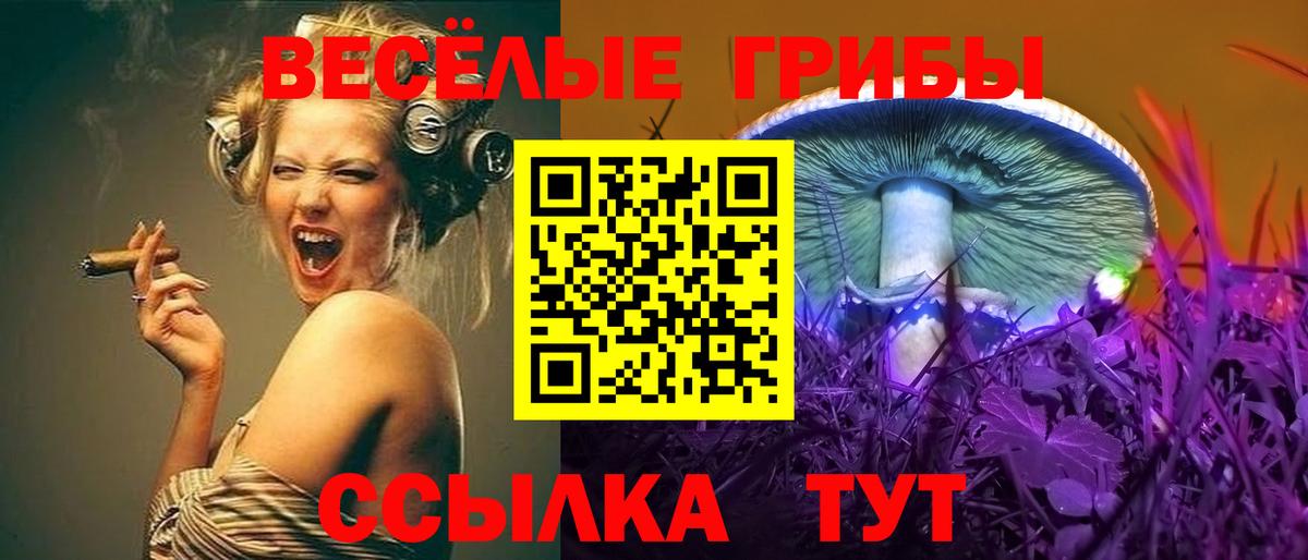 Малгобек  Галлюциногенные грибы прущие грибы  Вход с VPN 