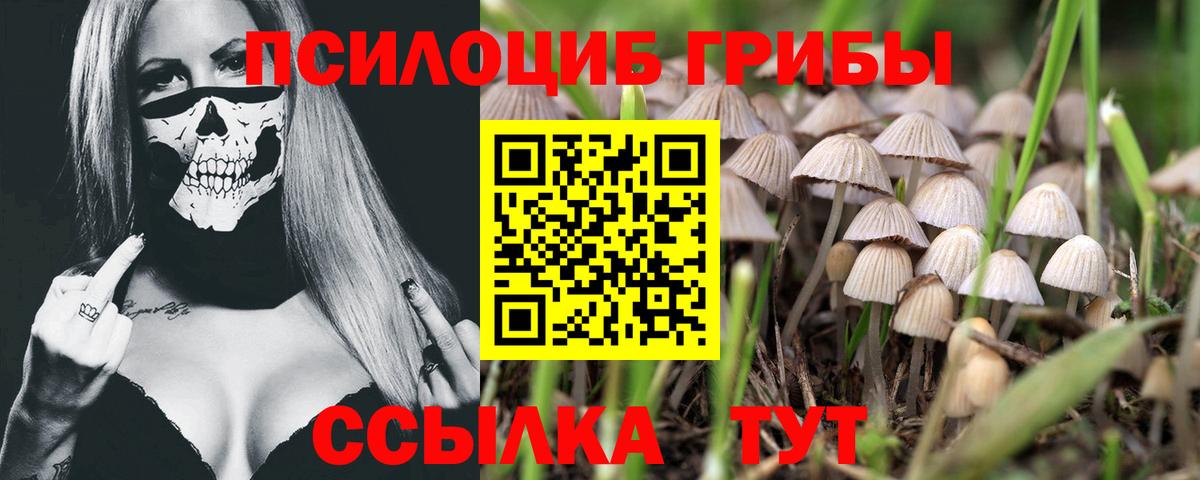 Галлюциногенные грибы MAGIC MUSHROOMS Малгобек